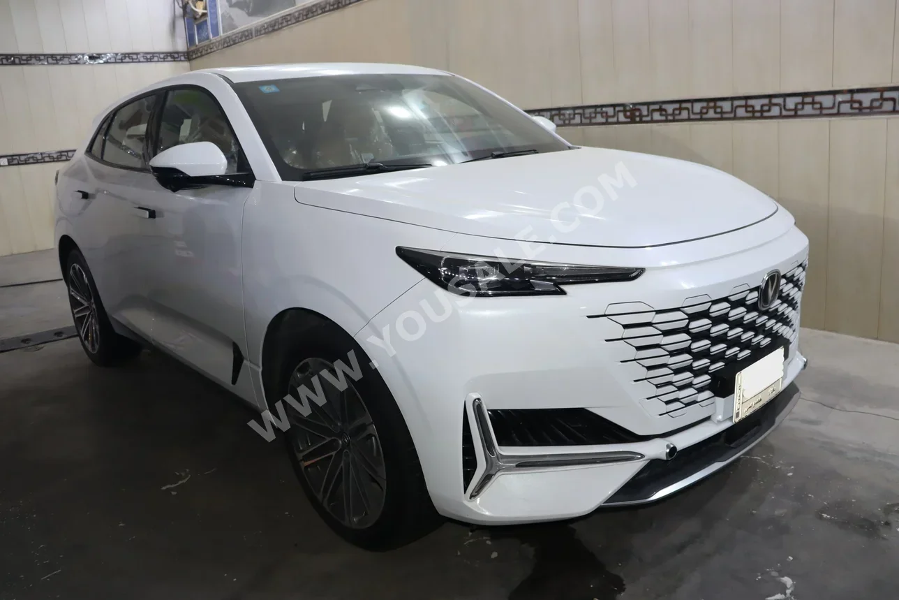 شانجان  يوني - كي  2024  اتوماتيك  8,000 كم  4 سلندر  دفع كلي مستمر  اس يو في  أبيض  بنزين