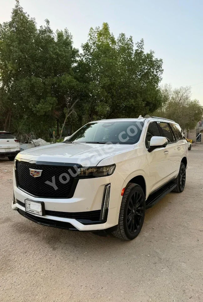 كاديلاك  اسكيليد  2021  اتوماتيك  50,000 كم  8 سلندر  دفع رباعي  اس يو في  أبيض  بنزين